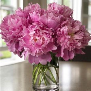 Meet your Posher, Jill